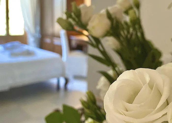 Cá Leon 3* La Spezia