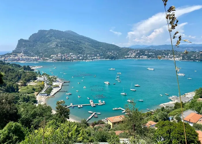 Casa de hóspedes Cá Leon