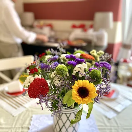 Ca Leon Гостьовий будинок 3*